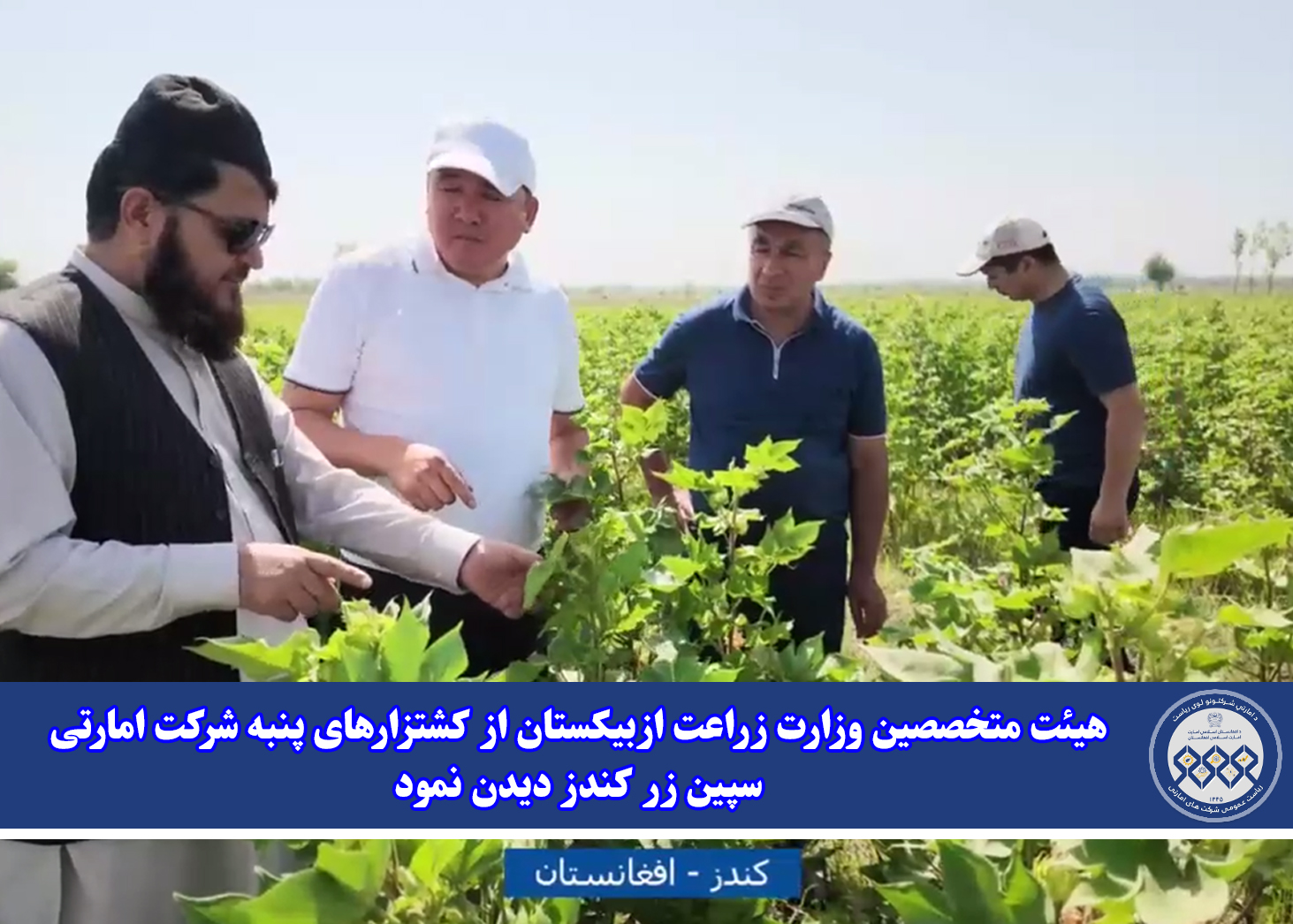 هیئت متخصصین وزارت زراعت ازبیکستان از کشتزارهای پنبه شرکت امارتی سپین زر کندز دیدن نمود