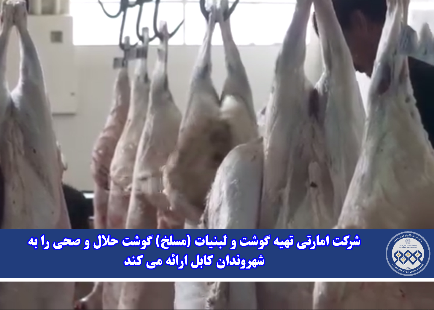 شرکت امارتی تهیه گوشت و لبنیات (مسلخ) گوشت حلال و صحی را به شهروندان کابل ارائه می کند
