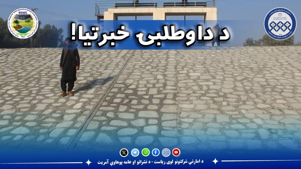 اعلان داوطلبی!