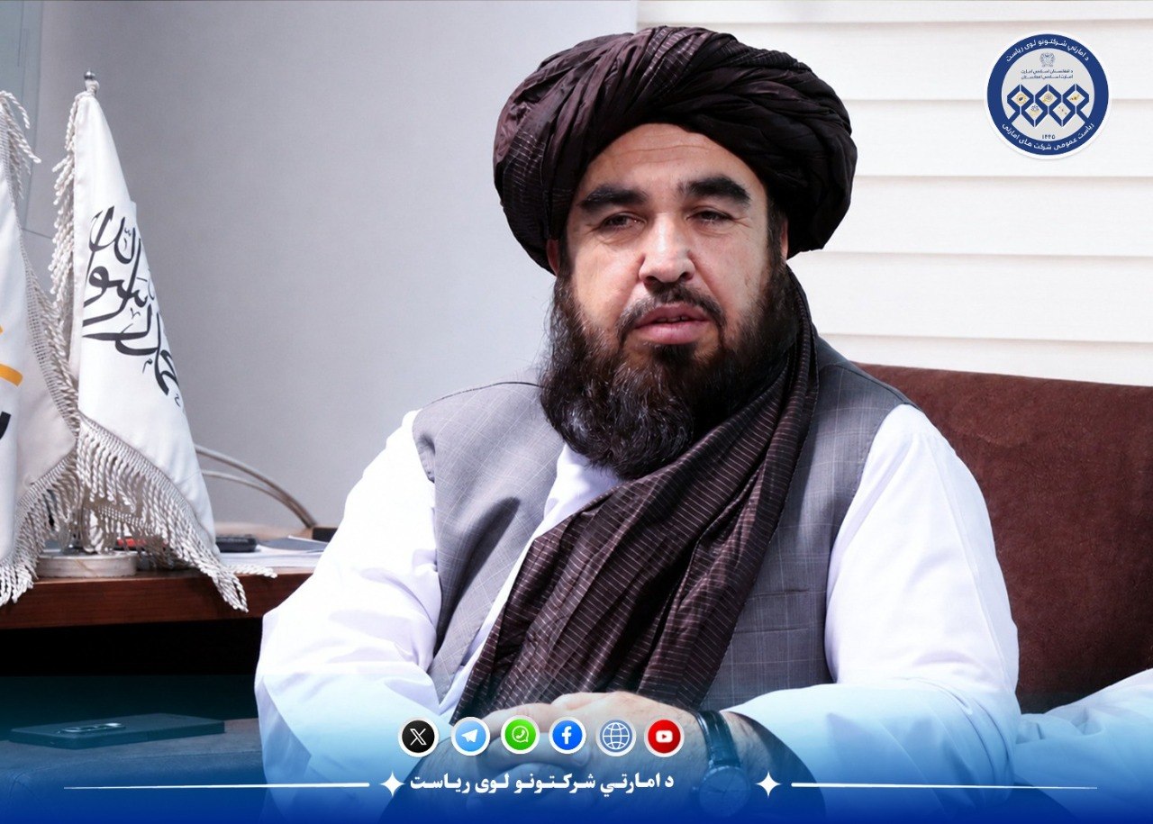 ترکي پانګوال د برېښنا تولید تاسیساتو او له خځلو څخه د برېښنا تولید برخو کې د پانګونې لېوالتیا لري