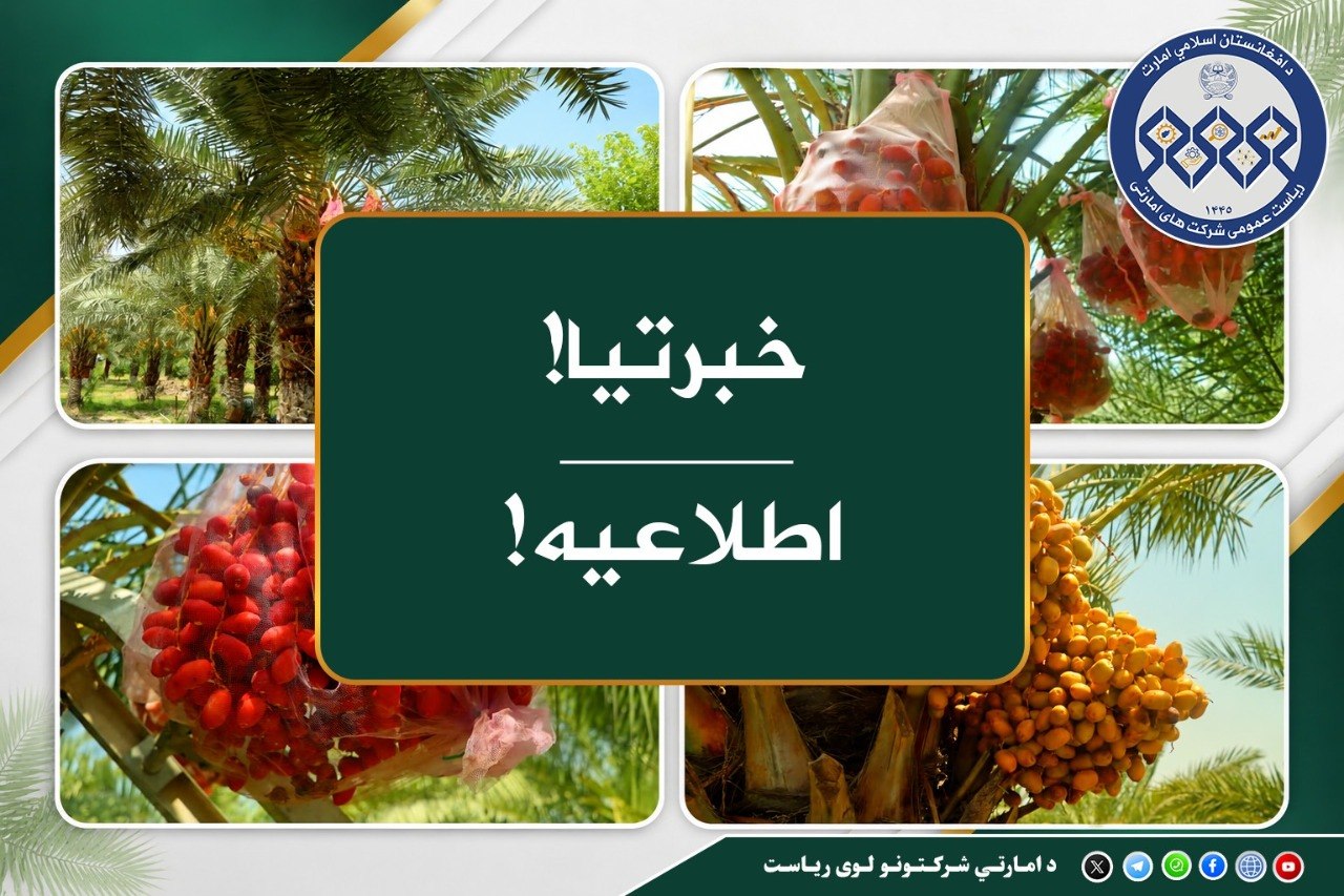 خبرتیا!