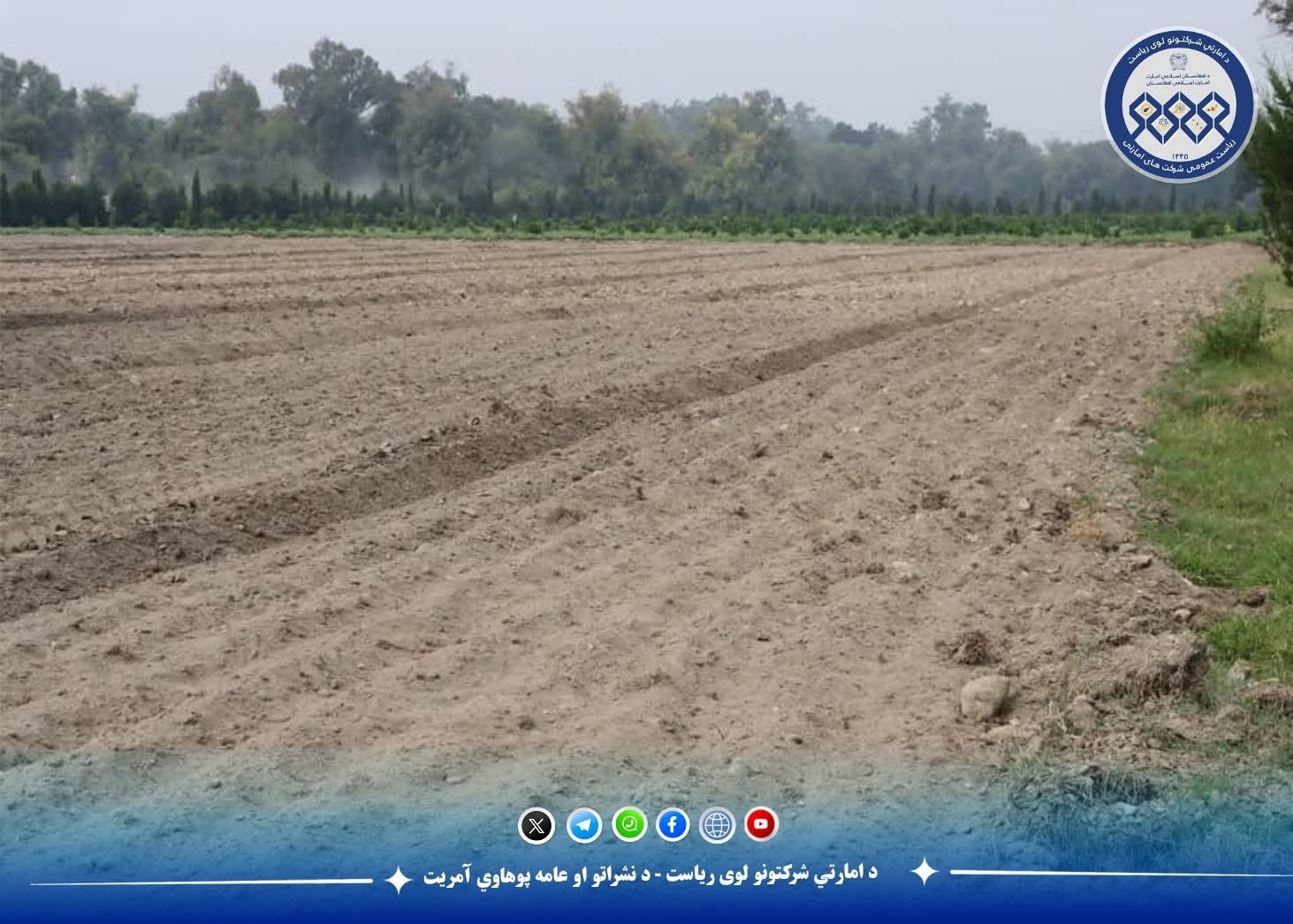 ۱۲ جریب زمین بی حاصل شرکت امارتی زراعتی وادی ننگرهار برای کشت آماده گردید