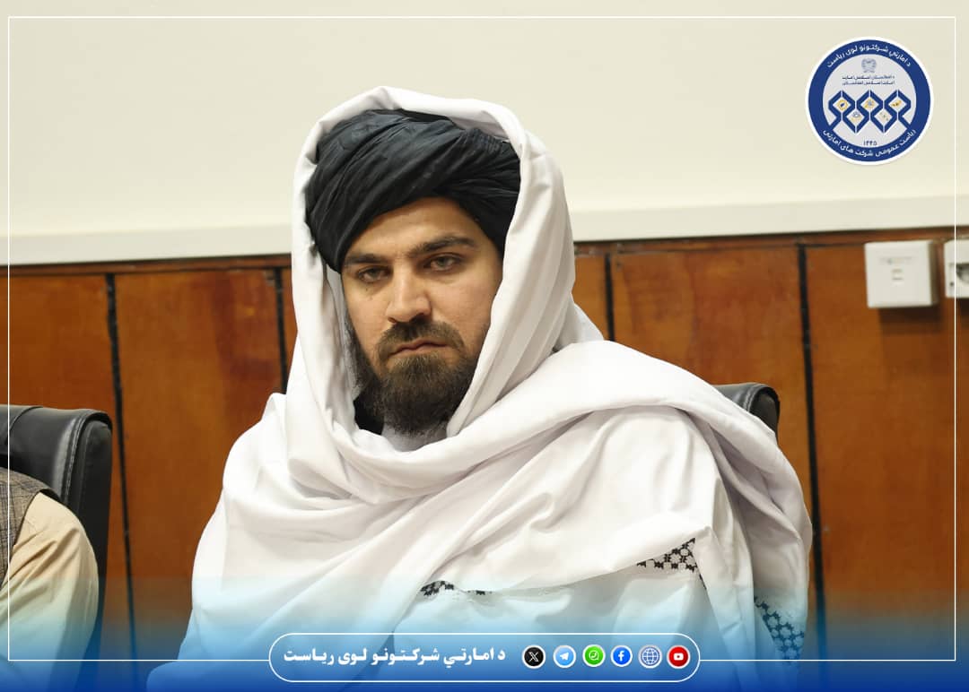 د ابن سینا فارمسي امارتي شرکت نوی مالي او اداري رئیس معرفي شو