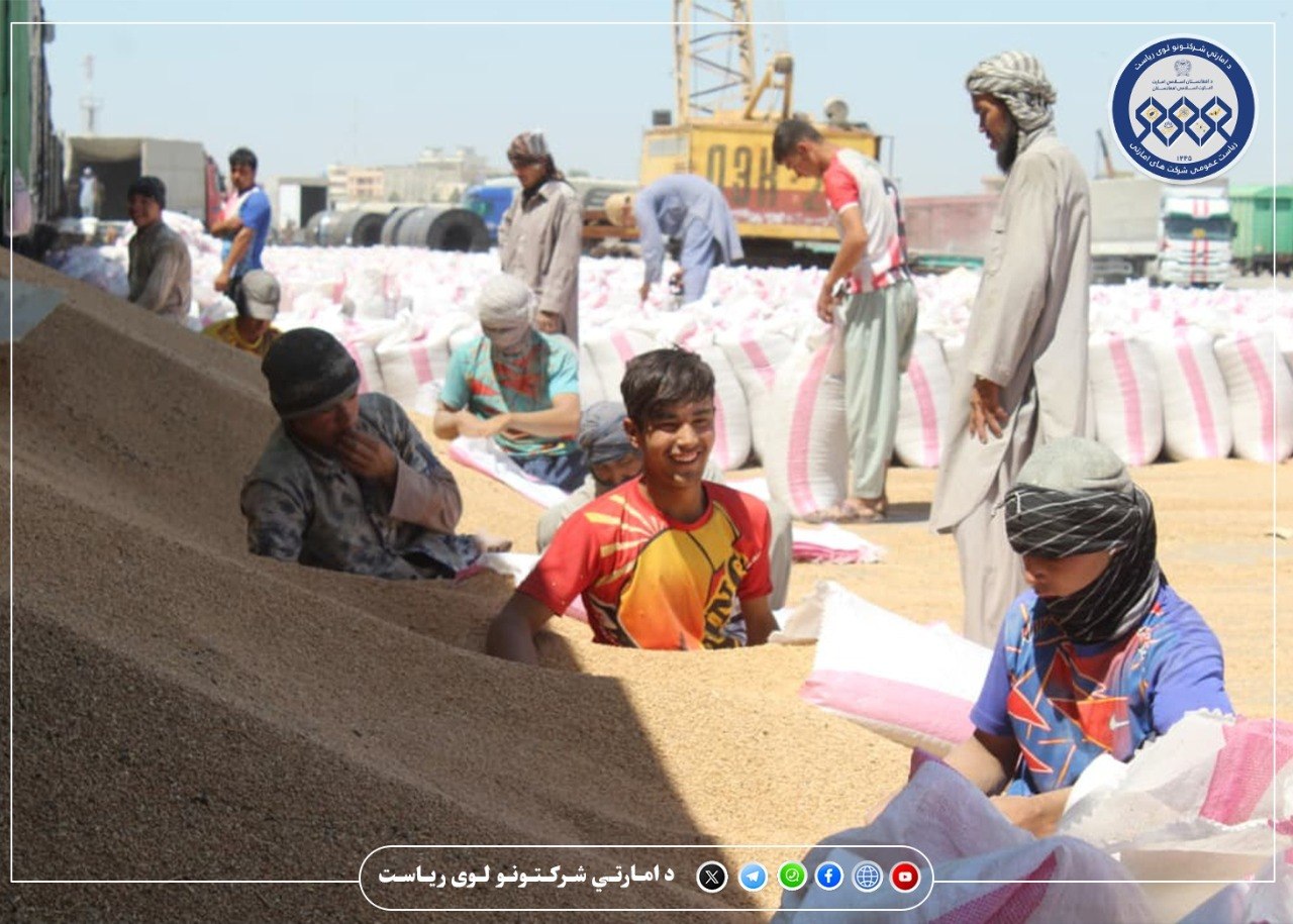 د استراس په درېیو پورټونو کې ۵۹۹ باروړونکي موټر بار او تخلیه شوي