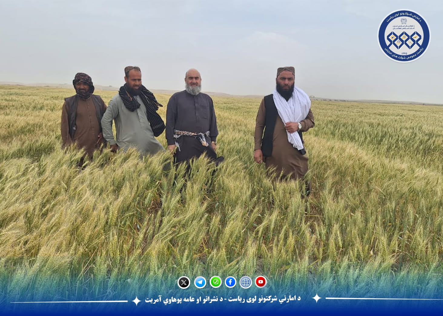 د اصلاح شويو تخمونو امارتي شرکت اجرائیوي رئیس د قوش‌تېپې فارم څخه لیدنه وکړه