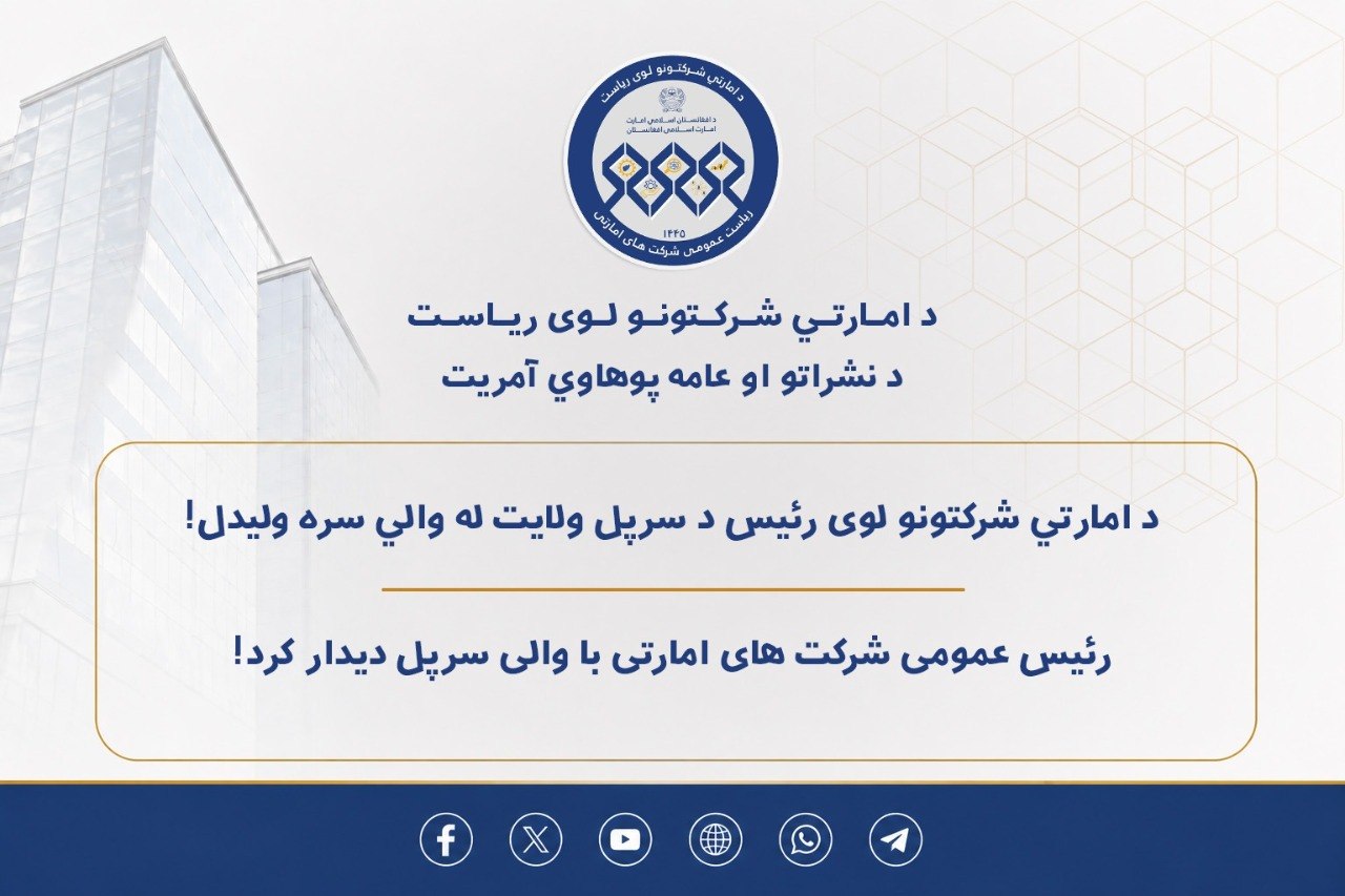 رئیس عمومی شرکت های امارتی با والی سرپل دیدار کرد