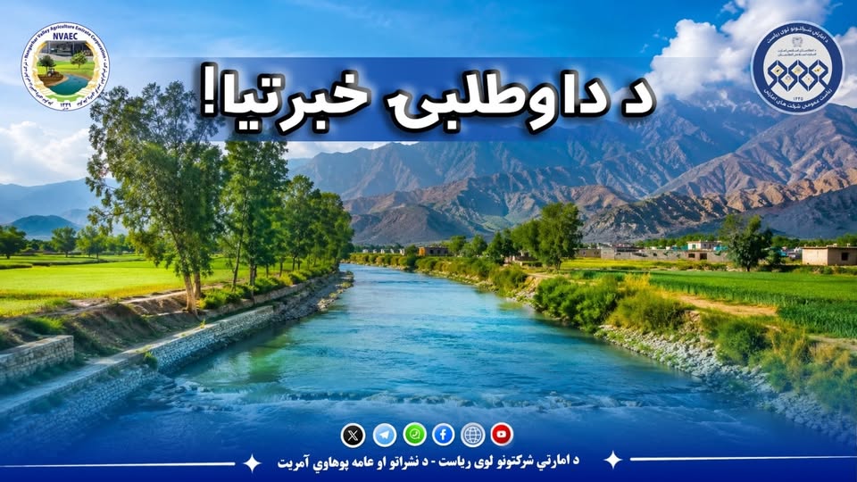 اعلان داوطلبی!
