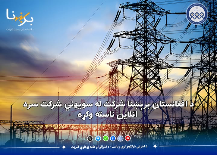 نشست آنلاین میان د افغانستان برشنا شرکت و یک شرکت سویدنی برگزار شد