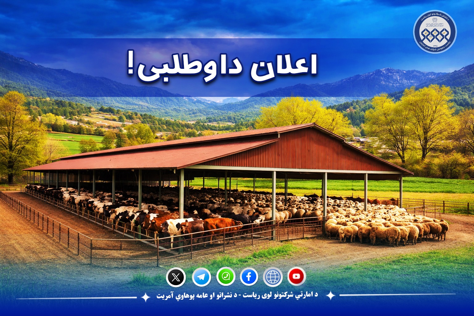اعلان داوطلبی!