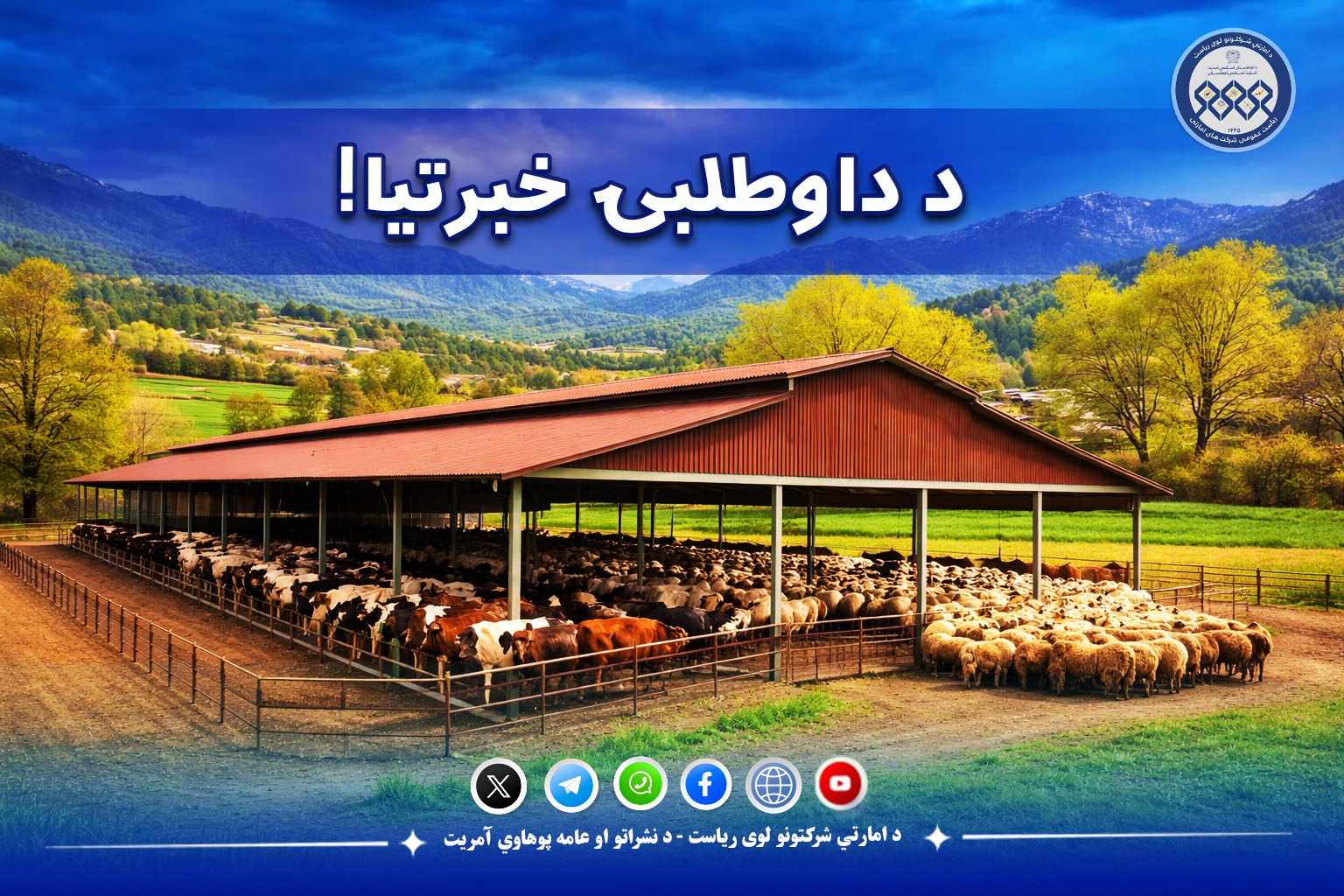 د داوطلبۍ خبرتیا!
