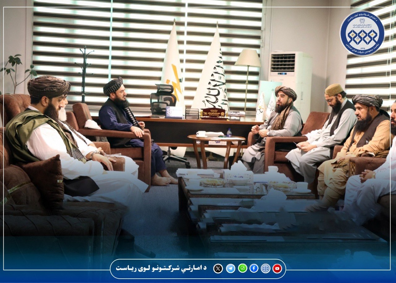 رئیس اجرائیوی د افغانستان برشنا شرکت با والی لوگر دیدار کرد