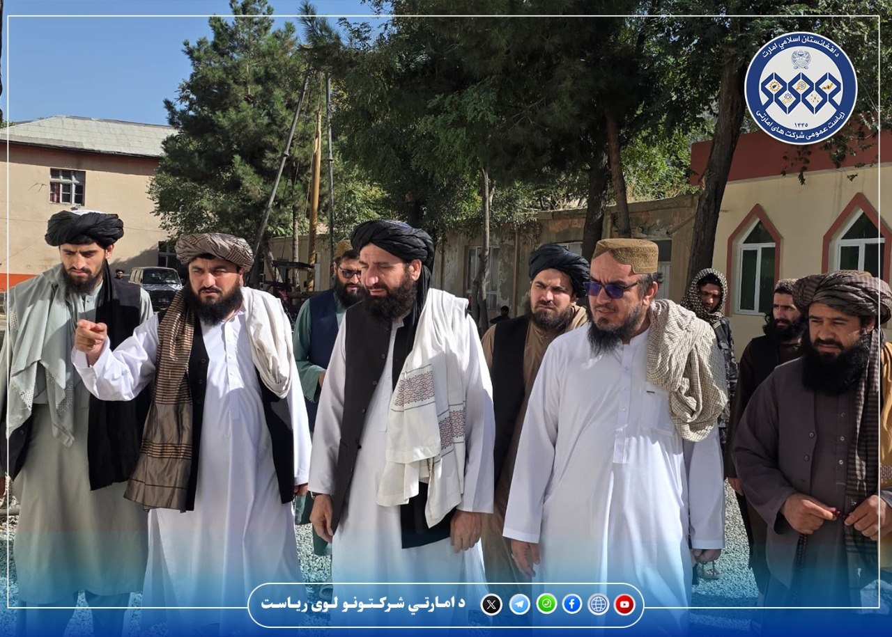 د امارتي شرکتونو عمومي رئیس د ابن سینا فارمسي امارتي شرکت له چارو لیدنه وکړه